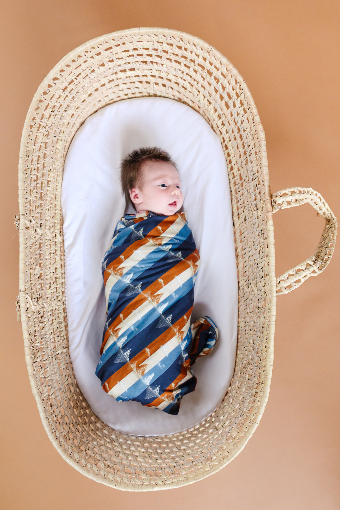 Wasatch Winter - Bamboo Blanket